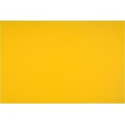 TOCĂTOR HACCP - GALBEN, 450X300X13MM